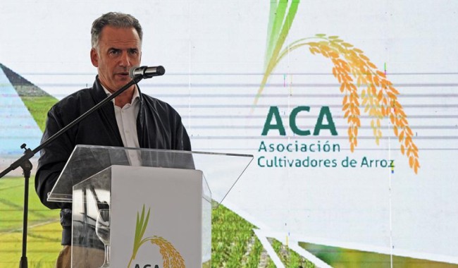 Orsi: inversiones en investigación y riego son pilares para el desarrollo de producción arrocera