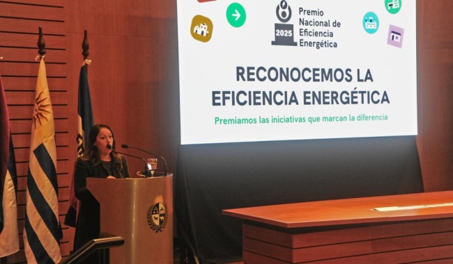 Ministerio de Industria presentó el Premio Nacional de Eficiencia Energética
