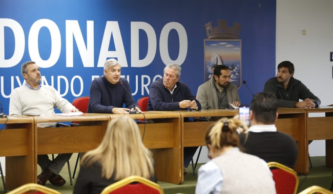Picudo rojo: fuerte inversión de la IDM, reclamo de fondos nacionales y prohibición del traslado de ejemplares