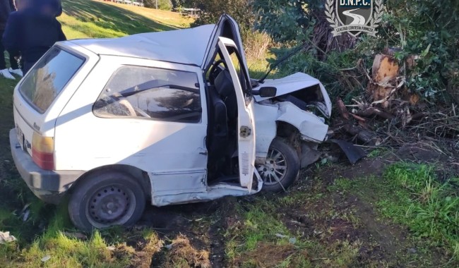 Conductor con riesgo de vida tras despistar y chocar contra árbol en ruta