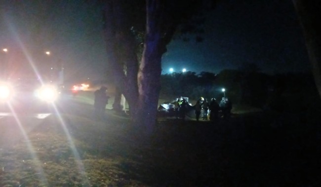 Falleció conductor que chocó contra un árbol