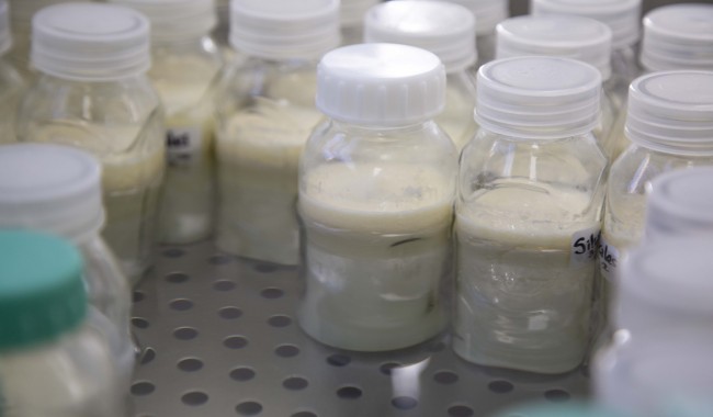 Leche materna: 600 madres donan 3.500 litros al año para unidades neonatales del país