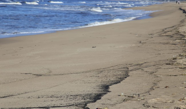 Medio Ambiente de la IDM trabaja junto a Ancap, prefectura y ministerio por aparición de manchas de hidrocarburos en Sauce de Portezuelo y Ocean Park