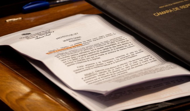 Diputados aprobó el proyecto de ley que regula la "muerte digna"