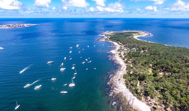 Intendencia solicitó anuencia para licitar paradores por 10 años, como Gorriti; llamados incluirán cláusulas para contemplar a alumnos de UTU