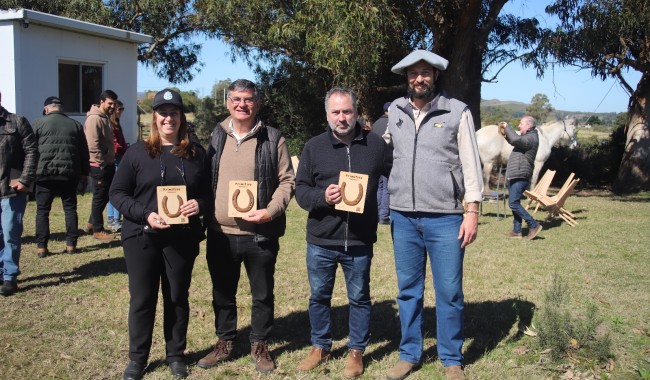 Trabajo conjunto con el foco puesto en salvar vidas y crear santuarios para caballos
