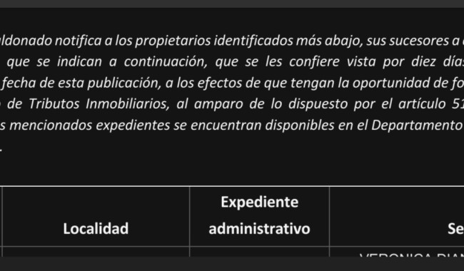 IDM: Vista de Tributos Inmobiliarios