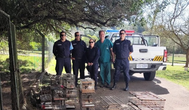 Fueron liberadas 48 aves nativas en la ECFA
