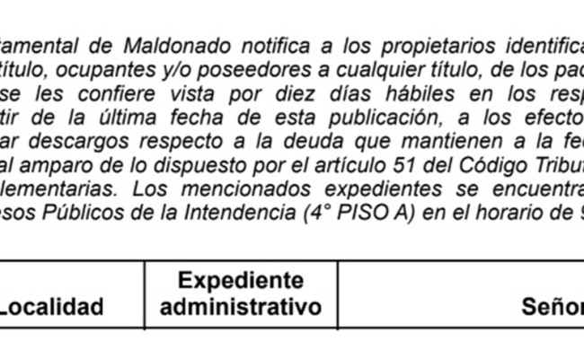 IDM: Vista de Tributos Inmobiliarios