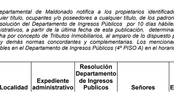 IDM: publicación de vista de tributos inmobiliarios