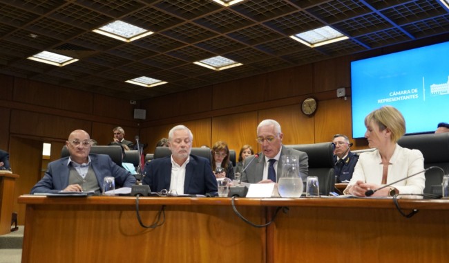 Gobierno incluyó “áreas críticas” de Maldonado en programa para atender delitos violentos