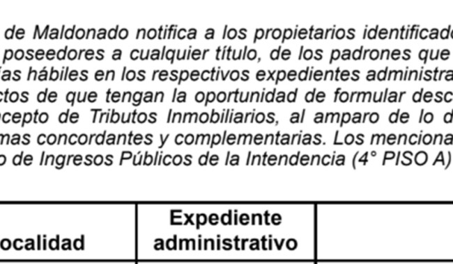 IDM: Vista de Tributos Inmobiliarios (E185/ 25T)