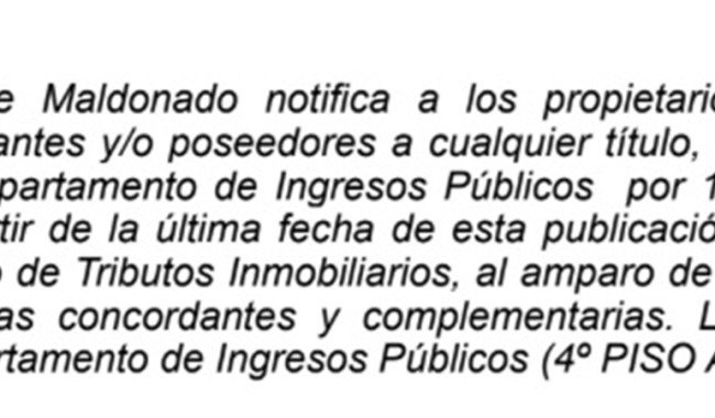 IDM: Tributos Inmobiliarias (ER192/30T)