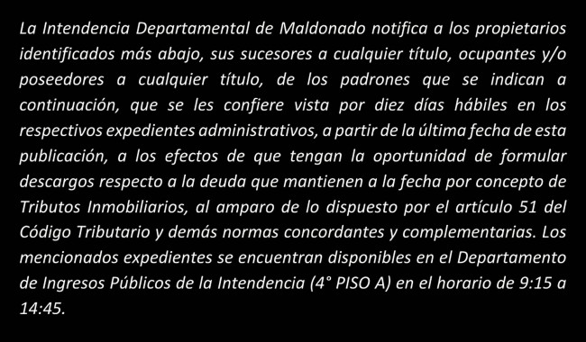 IDM: Vista Tributos Inmobiliarios (E189/30T)