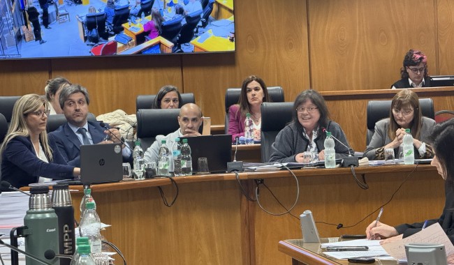 Ferrero contó que "no la mataron por poco" y que restos de la granada llegaron a su cuarto