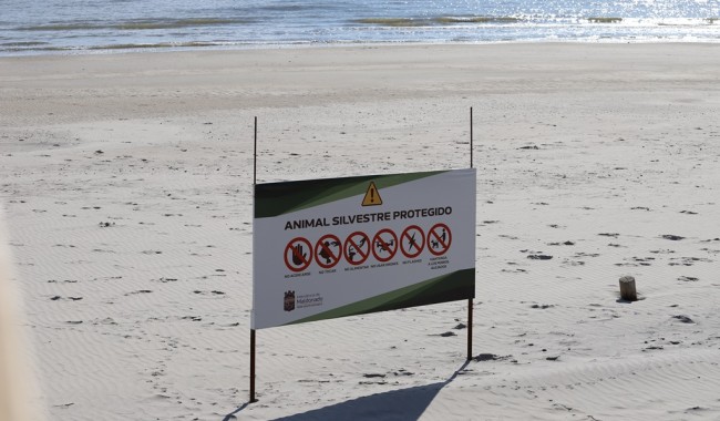 A tres semanas del nacimiento de Francisco, piden "último esfuerzo" y exhortan a mantener distancia