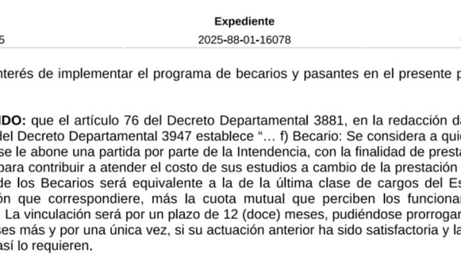 Resolución IDM 10035/2025: llamado a becarios y pasantes