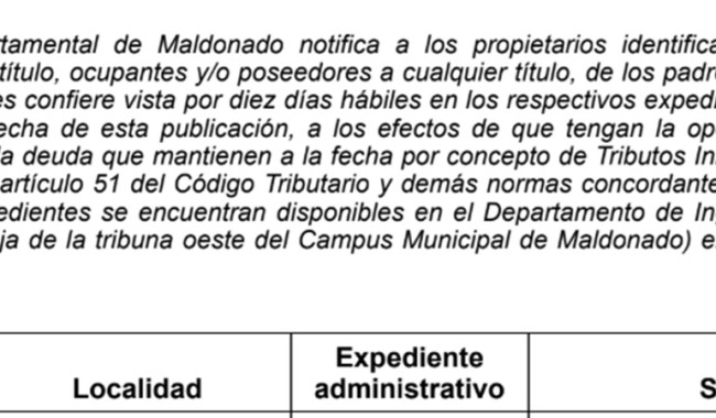 IDM: Vista Tributos Inmobiliarios (E191/ 27T + 1 PH)