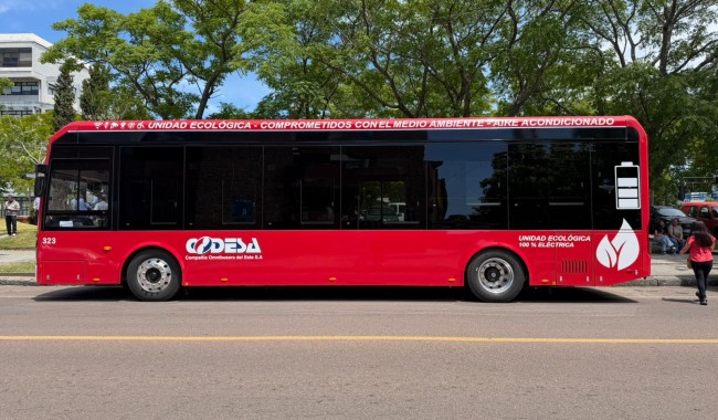 Maldonado sumó 4 ómnibus eléctricos y accesibles mientras "avanza hacia una movilidad sostenible"