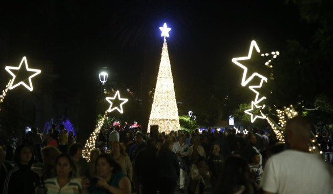 Maldonado: "vida al centro con encendido de árbol y apertura de la peatonal"