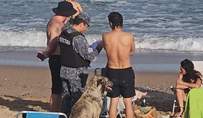Prefectura, Sebastian Sorribas, La Pastora, disturbios, muelle La Pastora, seguridad, controles, playas, temporada, verano, perros, notificaciones