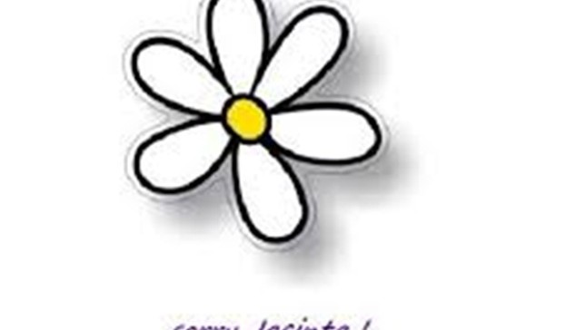 Gustavo Bravo, Sorry Jacinta