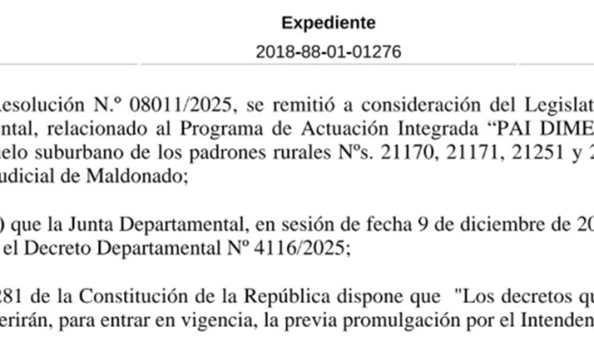 Resolución IDM 11809/2025: promulga Decreto 4116/2025 (PAI DIMEGAR SA)
