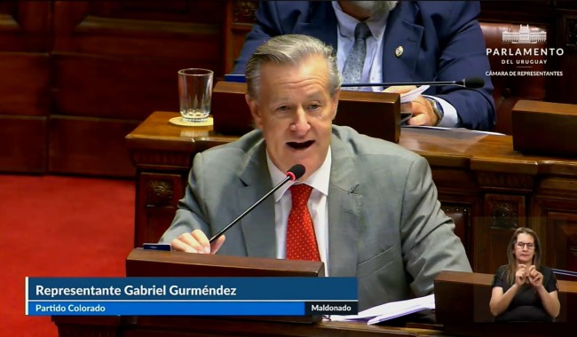 “La JUTEP faltó a la verdad”: Gurméndez cargó contra la conducción del organismo durante la interpelación en Diputados