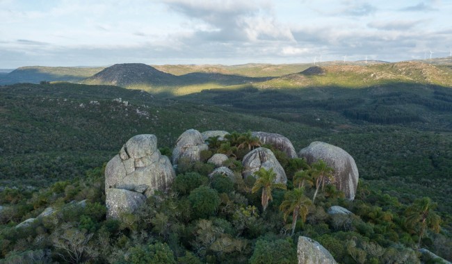 Yamandu Orsi, Pueblo Eden, Proyecto Carape, Parque Carape, Islas y Canales Verdes, Rio Uruguay, Maldonado