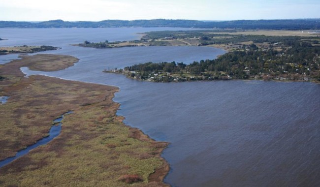 Alerta sanitaria en la Laguna del Sauce: confirman floraciones de cianobacterias y recomiendan evitar el contacto con el agua