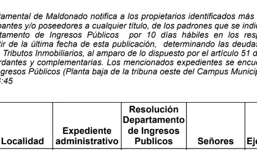 IDM: Resoluciones Inmobiliarias (ER203/22t +1PH)