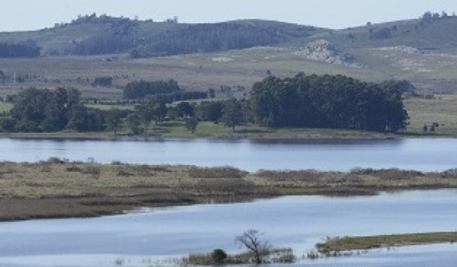 IDM, Laguna del Sauce, Miguel Abella, Virginia Villarino, medio ambiente, cianobacterias, floraciones, agua potable
