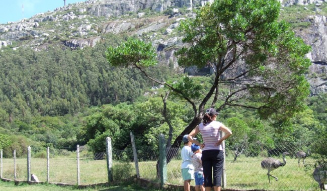 cerro pan de azucar, ascenso, protocolo, riesgo de incendios, calor, ola de calor, bomberos, IDM, ECFA