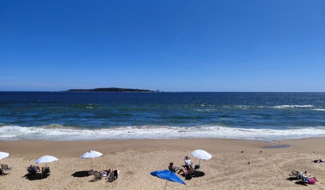 Cambio en la temperatura permitió que el agua recuperara su color habitual en la costa de Maldonado