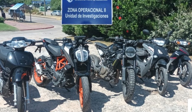 Del operativo al juzgado: cómo terminó el entramado de la operación Gato Encerrado en Cerro Pelado