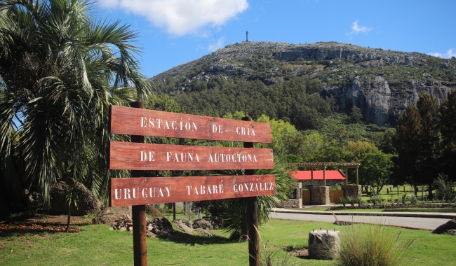 Una mujer murió en la ECFA, la estación se cerró y Abella ordenó investigación