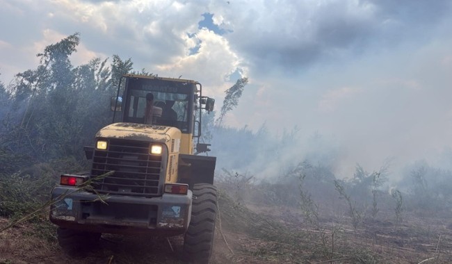 Controlaron incendio rural próximo a Aznárez que consumió 1,5 hectáreas