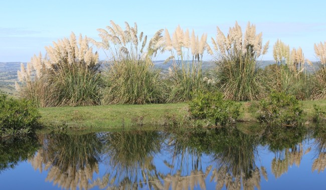 Emergencia hídrica: la IDM activa un plan focalizado para sostener la producción rural