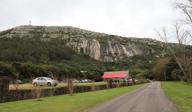 ECFA: la Intendencia habilita la reapertura tras concluir el análisis técnico del arbolado