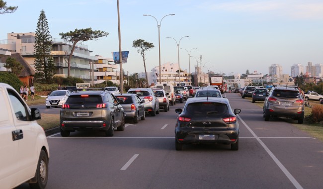 Juan Pigola, transito, parque automotor, vehiculos, movilidad, Maldonado, gestion
