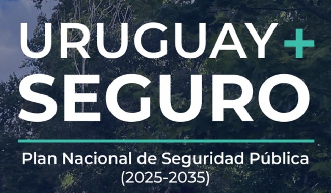 Plan de seguridad: respaldo oficialista y críticas de la oposición entre legisladores de Maldonado