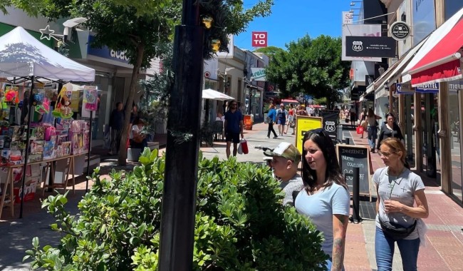 Temporada con fisuras: el 51% de las empresas no tuvo un balance positivo