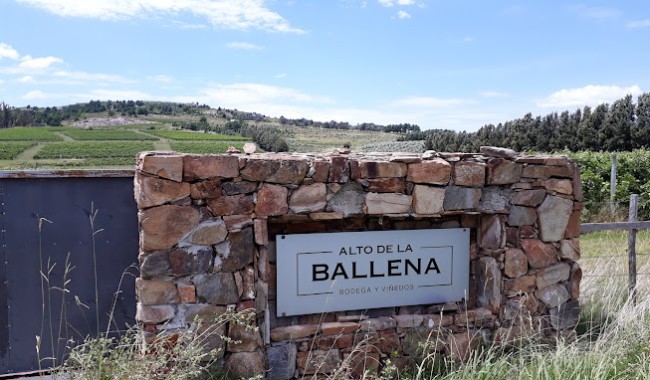 Incendio con pérdidas totales en Alto de la Ballena: exdiputado atribuye origen a falla al cargar auto híbrido