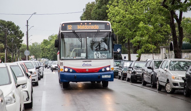 Movilidad: Maldonado avanza en el rediseño del transporte con piloto financiado por la UE