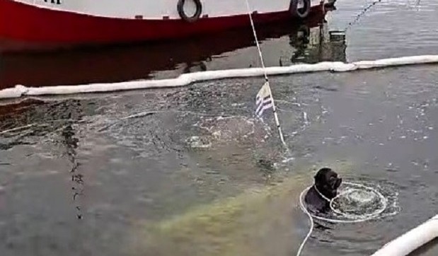 Piriápolis: hundimiento de lancha con 150 litros de gasoil activó operativo por derrame