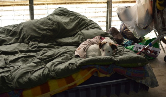 El Gobierno pone al presidente al frente de un plan de calle basado en un enfoque que no frenó el aumento en 2025