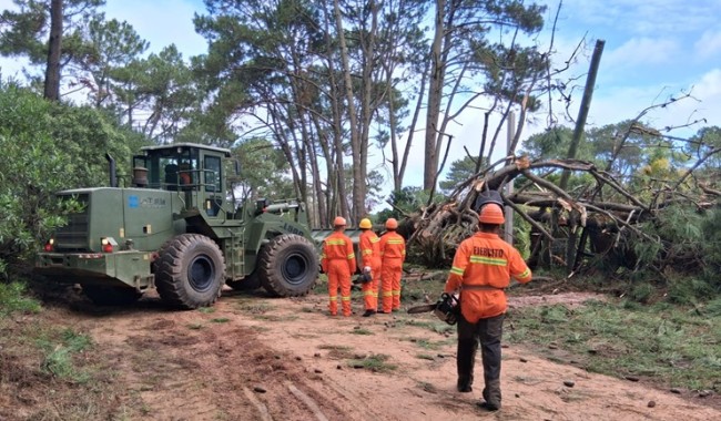 Temporal: Maldonado entre las zonas con rachas de viento más intensas del país