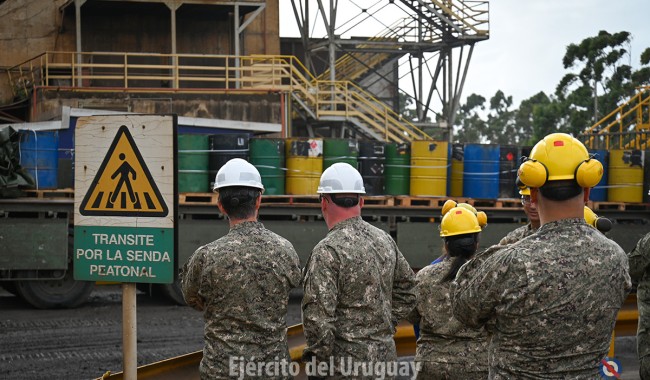 Armas: destruyen más de 9.000 y advierten que 6 de cada 10 son ilegales