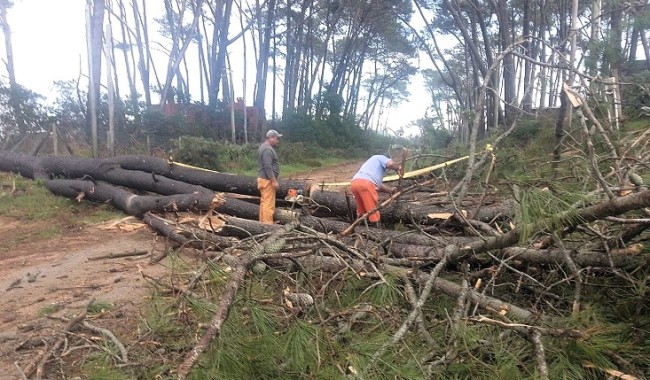 Temporal: el informe oficial pone el foco en la respuesta y no en el impacto