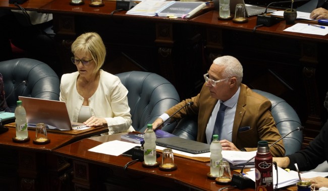 Seguridad: Negro defendió su gestión con una baja global del delito, pero con subas en violencia armada